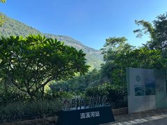 -广州市流溪河国家森林公园