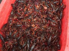 -盱眙虾怪·旗舰店
