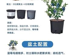 -宝安中心(地铁站)