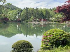 -四明山国家森林公园