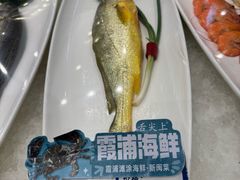 -舌尖上·霞浦滩涂海鲜·新闽菜(总店)