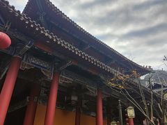 -都江堰普照寺