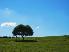 -塞罕坝国家级自然保护区