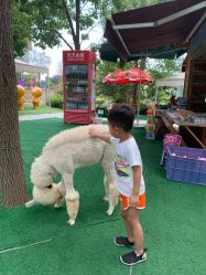 -萌宠亲子动物乐园(槐房万达店)