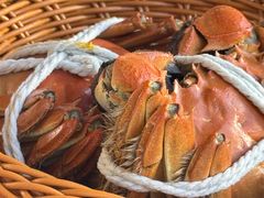 -蟹村草堂·苏式园林人文农家·大闸蟹