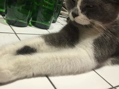 -MIKAKU(万达广场上海宝山店)