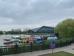 -上海长兴岛郊野公园