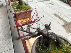 -檀园