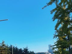 -西村叔叔的店·面包·甜品·蛋糕(崂山丽达店)