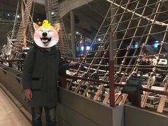 -瓦萨沉船博物馆