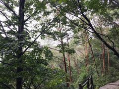 -洛阳白云山景区