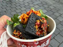 -黑色经典臭豆腐·湖南特产(坡子街店)