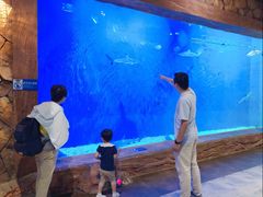 -华夏文旅海洋公园