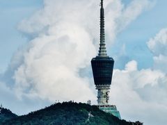-深圳仙湖植物园