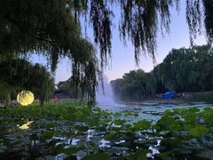 -北陵公园