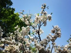 -一江春水·杭帮臻宴(三台山店)