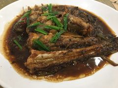 -东康桂家农庄