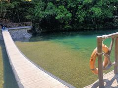 -龙湾潭国家森林公园