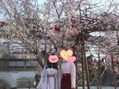 -有栖山 清光院 清水寺