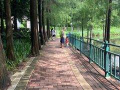 -深圳龙潭公园