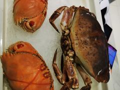 -海天牧场(银川商城店)