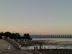 -宝安西湾红树林湿地公园