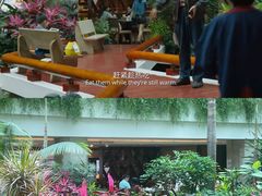 -广州白天鹅宾馆