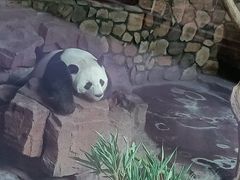 -济南野生动物世界