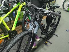 -道路口单车爱瓦士dahon大行