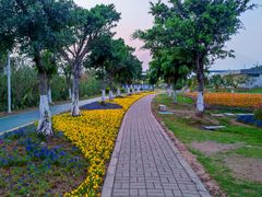 -芒洲湿地公园