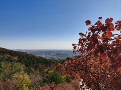 -北京西山国家森林公园