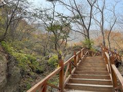 -大岭沟猕猴桃谷风景区