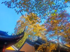 -灵谷景区