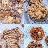 三亚吃川味海鲜最佳去处！