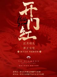-VE DIAMOND·天然&培育钻石定制