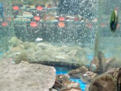 -渔码头食府(蓬莱阁店)