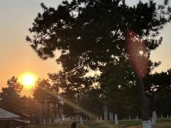 -长春世界雕塑园冰雪艺术天地