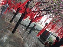 -西安青龙寺遗址景区
