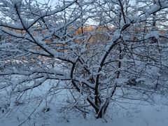 -长春净月潭风景名胜区