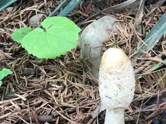 -苏州河梦清园环保主题公园