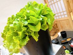 -九田家黑牛烤肉料理(悦荟店)