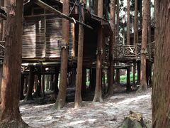 -武陵山森林公园
