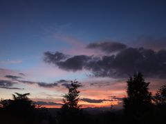 -长虫山生态公园风景林