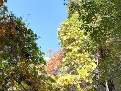 -崂山巨峰游览区