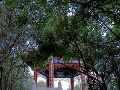 -锦绣公园