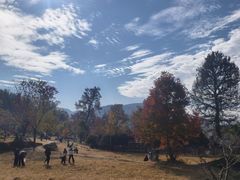 -塔川景区