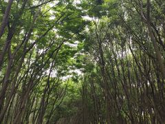 -同里国家湿地公园