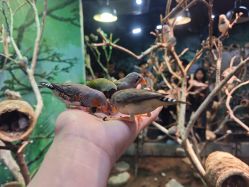 -Zoolung Zoolung动物主题公园(海信广场店)