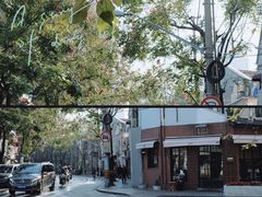 -茶是一枝花泡茶店