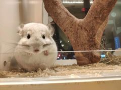 -龙猫仔乐园(惠福东路店)